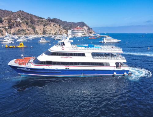 Catalina Flyer Discount Tickets & Promotions to Catalina Island